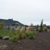 Landscape Gallery | Roots Nursery & Landscape