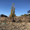 Landscape Gallery | Roots Nursery & Landscape