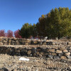 Landscape Gallery | Roots Nursery & Landscape