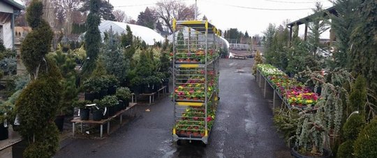 Garden Center: Yakima, WA: Roots Nursery & Landscape
