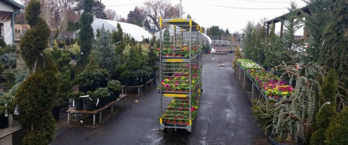 Garden Center: Yakima, WA: Roots Nursery & Landscape